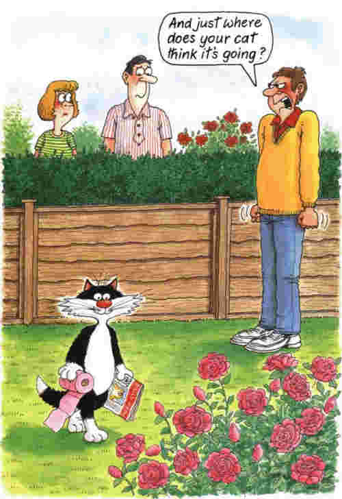 1196.jpg