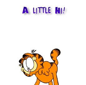 19.gif