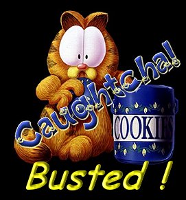 busted.jpg