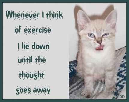 c-exercise.jpg