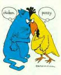 chicken_pussy.jpg
