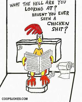 chickpoop.jpg