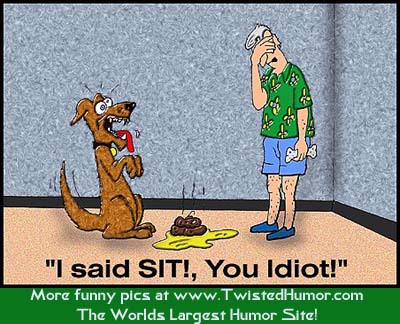 dog-sit.jpg