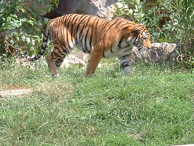 dscf00189.jpg