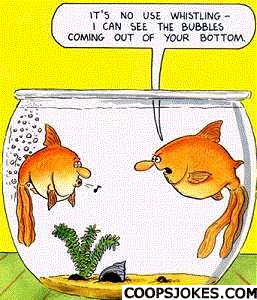 fishfart.jpg