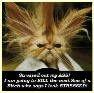 funnypic2.jpg