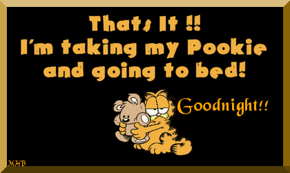 garfieldpookiegnight.gif