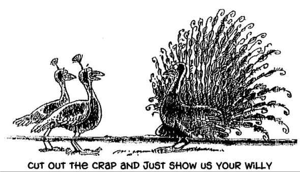 peacock.jpg