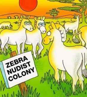zebranudist.jpg